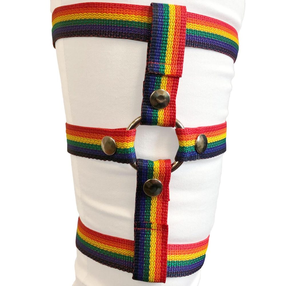 Harnesses, Straps & Handles | Inclusion Rainbow Thigh Harness – Size A Fits Thighs Up To 25"