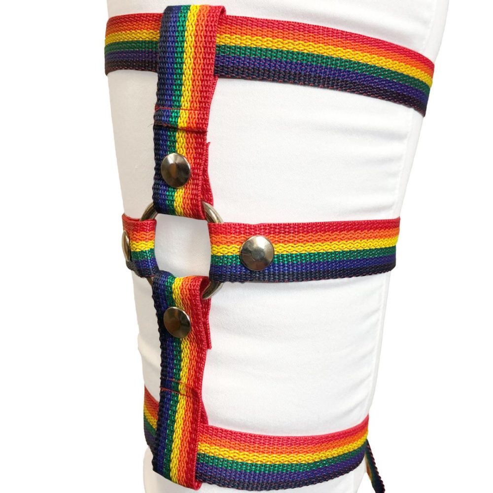 Harnesses, Straps & Handles | Inclusion Rainbow Thigh Harness – Size A Fits Thighs Up To 25"