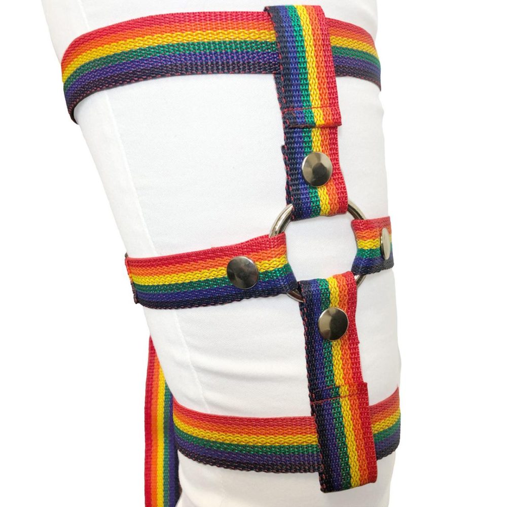 Harnesses, Straps & Handles | Inclusion Rainbow Thigh Harness – Size A Fits Thighs Up To 25"