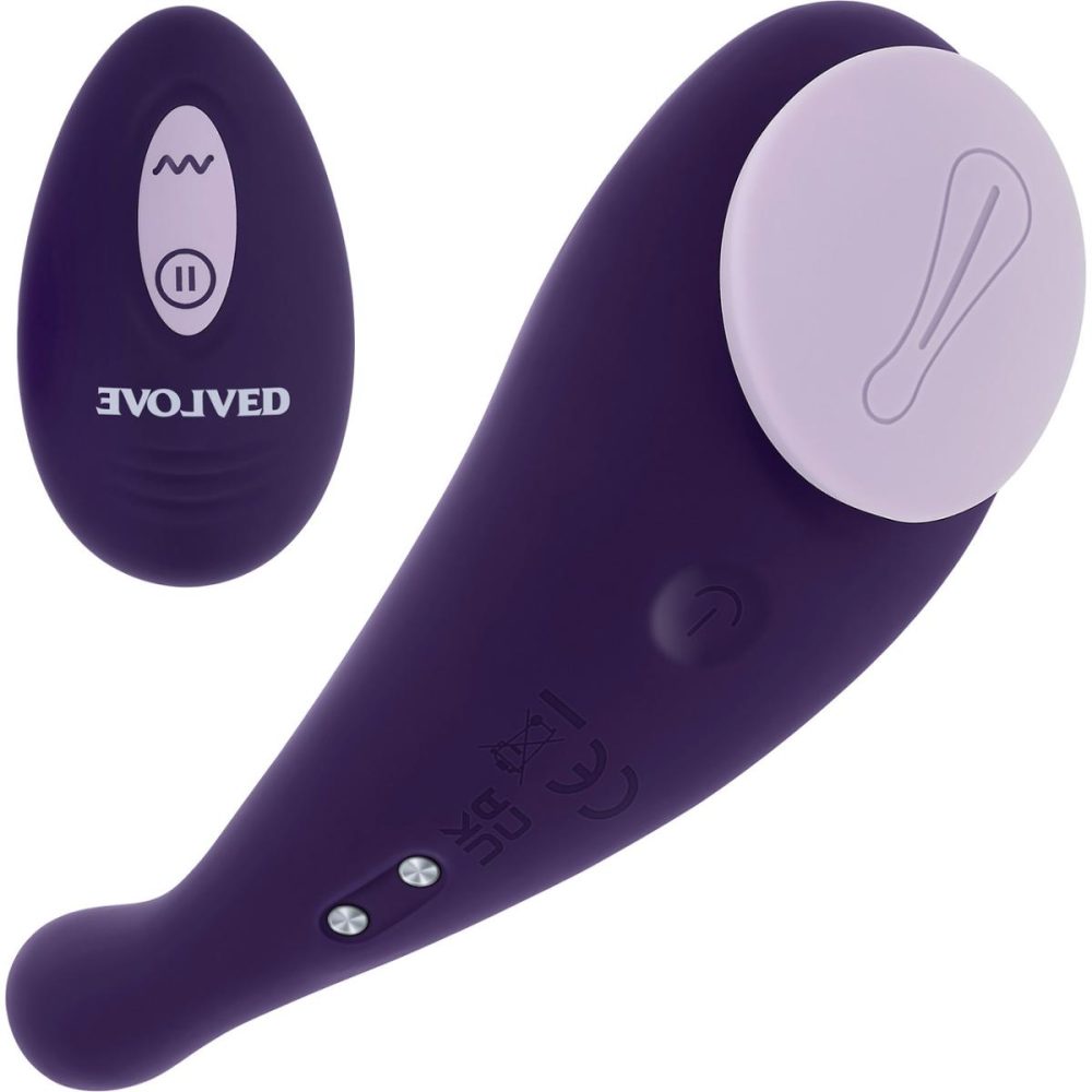 Remote Control Vibrators | Panty Party Rechargeable Silicone Magnetic Panty Vibrator With Remote – Purple