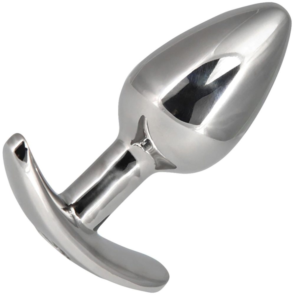 Vibrating Butt Plugs & Probes | Luxurious Stainless Steel Anal Plug With Power Bullet Vibrator