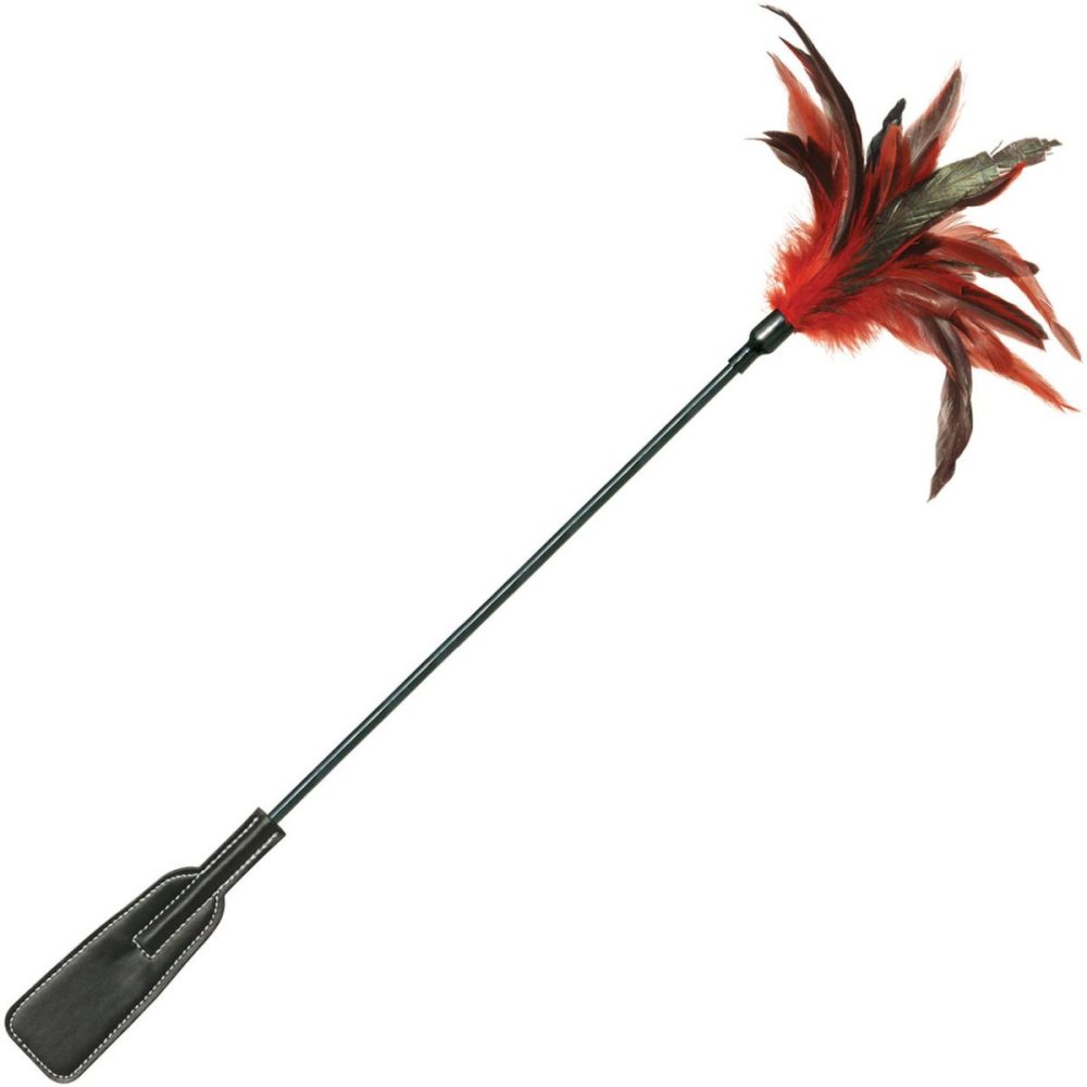 Water Gadgets & Accessories | Sex & Mischief Feather Slapper by